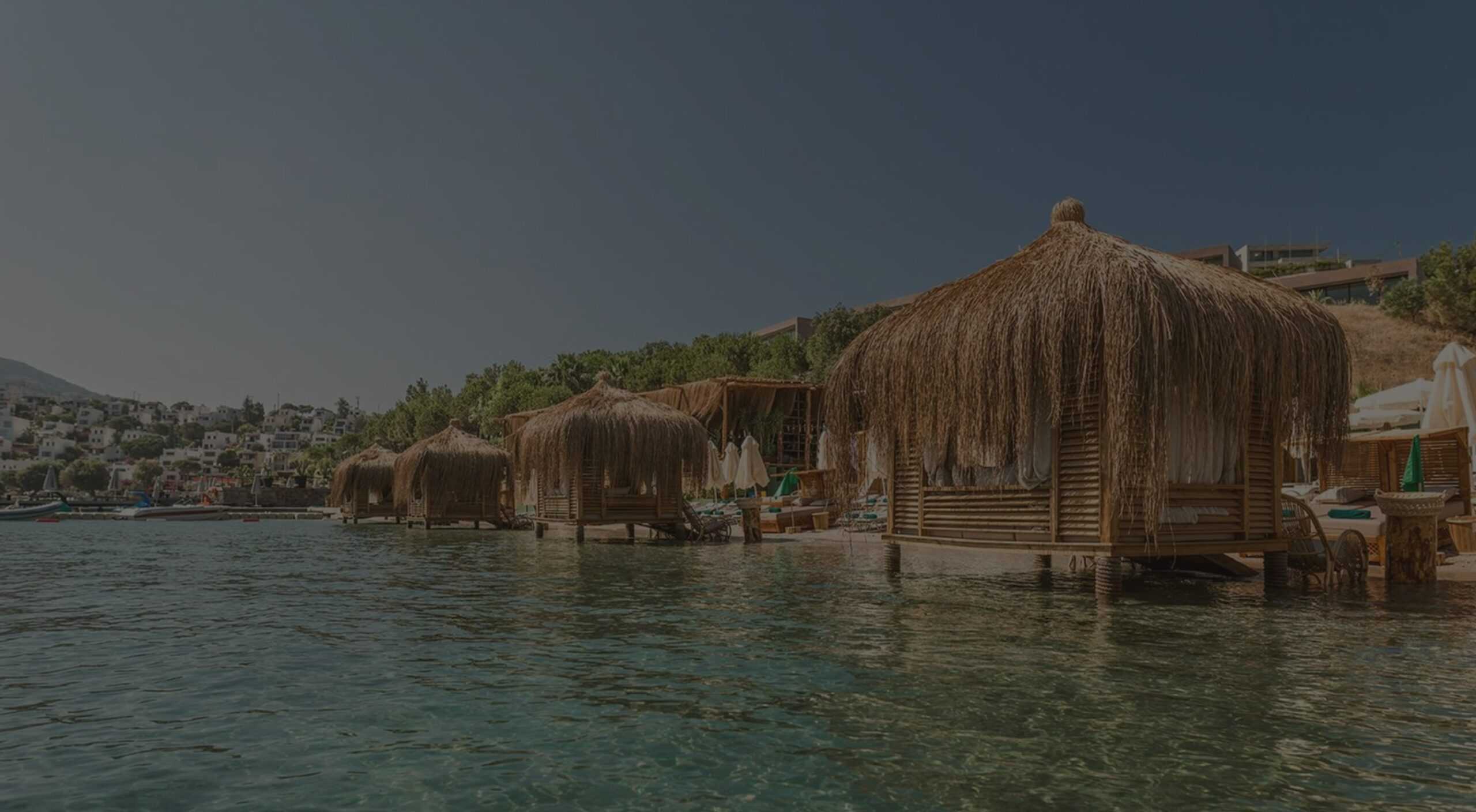 Çin Otu